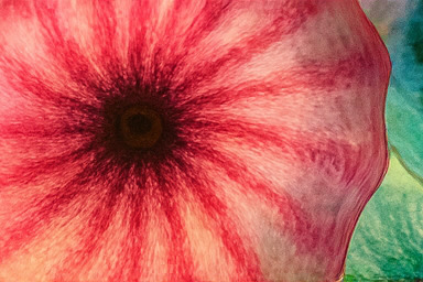 베타 존의 치열한 경쟁