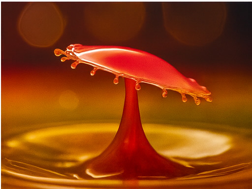 몰입형 모험의 시작