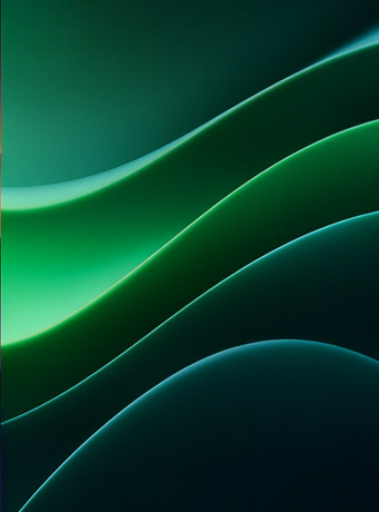 극한 감각의 몰입 경험